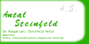 antal steinfeld business card